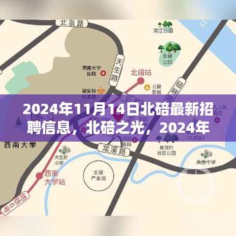 北碚之光，最新招聘信息深度解析与人才盛宴，探寻职业机遇的绝佳平台（2024年北碚最新招聘动态）