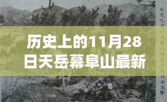 admin 第3页