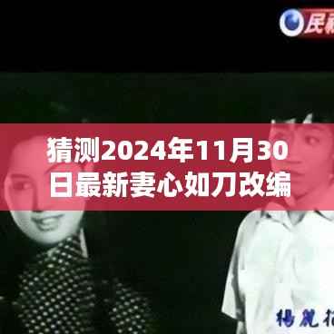 猜测2024年11月30日最新妻心如刀改编，探索未知领域，关于猜测2024年11月30日最新妻心如刀改编的深度解析