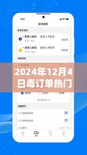 毒订单热门任务完成指南,掌握先机,助力行动成功(2024年12月版)