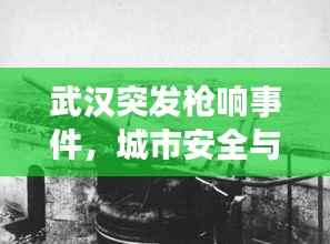 武汉突发枪响事件,城市安全与秩序面临严峻挑战