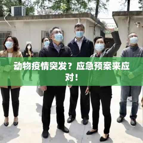 动物疫情突发?应急预案来应对!