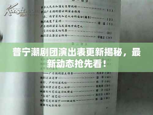 普宁潮剧团演出表更新揭秘,最新动态抢先看!