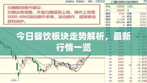 今日餐饮板块走势解析,最新行情一览