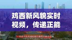 没张倒置