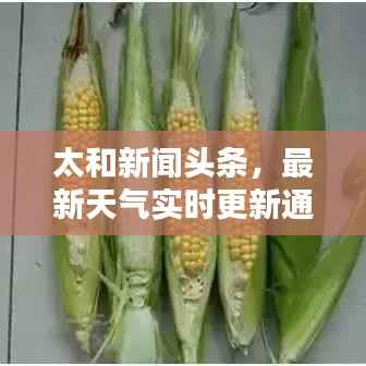 联系我们 第143页