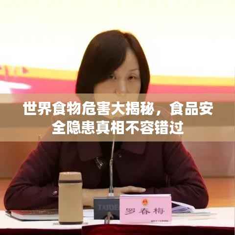 凤凰于飞
