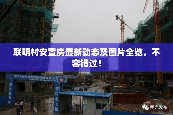 联明村安置房最新动态及图片全览，不容错过！