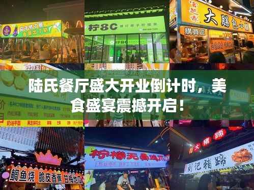 陆氏餐厅盛大开业倒计时,美食盛宴震撼开启!