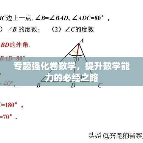 专题强化卷数学,提升数学能力的必经之路