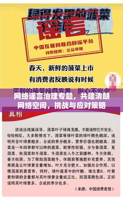 网络谣言治理专题，共建清朗网络空间，挑战与应对策略