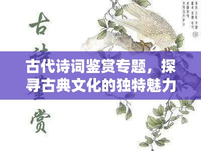 古代诗词鉴赏专题,探寻古典文化的独特魅力