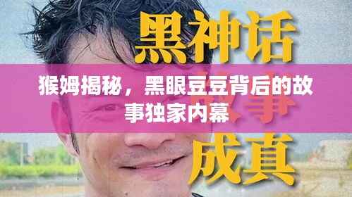 猴姆揭秘,黑眼豆豆背后的故事独家内幕