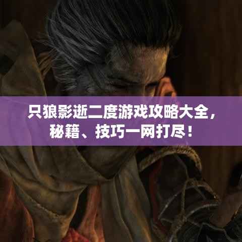 只狼影逝二度游戏攻略大全,秘籍、技巧一网打尽!