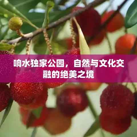 响水独家公园，自然与文化交融的绝美之境