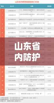 山东省内防护公司排名及影响力分析,专业防护,引领行业潮流