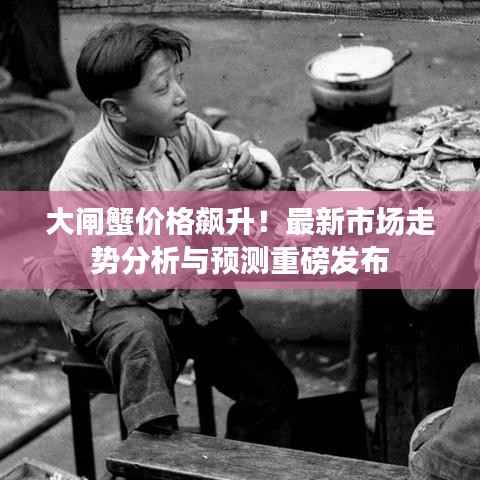 大闸蟹价格飙升!最新市场走势分析与预测重磅发布
