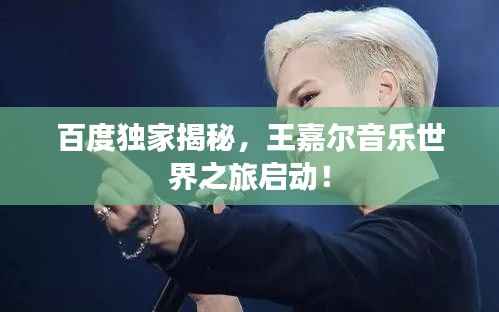 百度独家揭秘,王嘉尔音乐世界之旅启动!