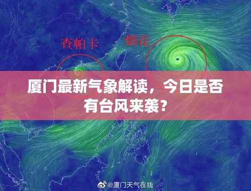 侃侃而谈