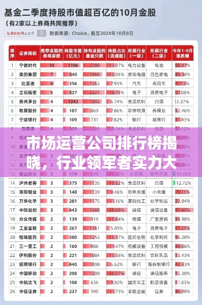 市场运营公司排行榜揭晓,行业领军者实力大揭秘