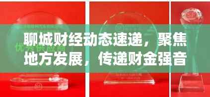 聊城财经动态速递，聚焦地方发展，传递财金强音