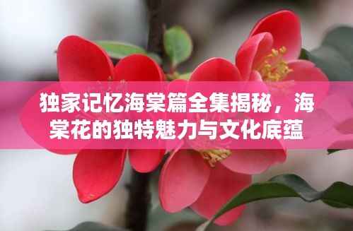 凌空飞起