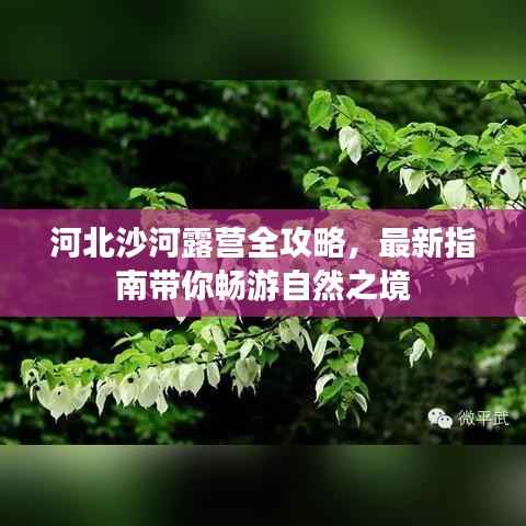 河北沙河露营全攻略,最新指南带你畅游自然之境